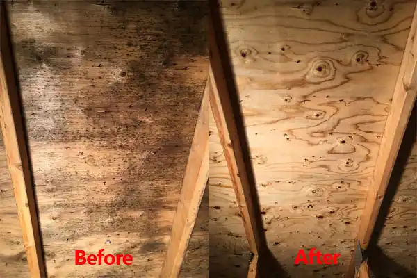 water damage restoration service Mattituck